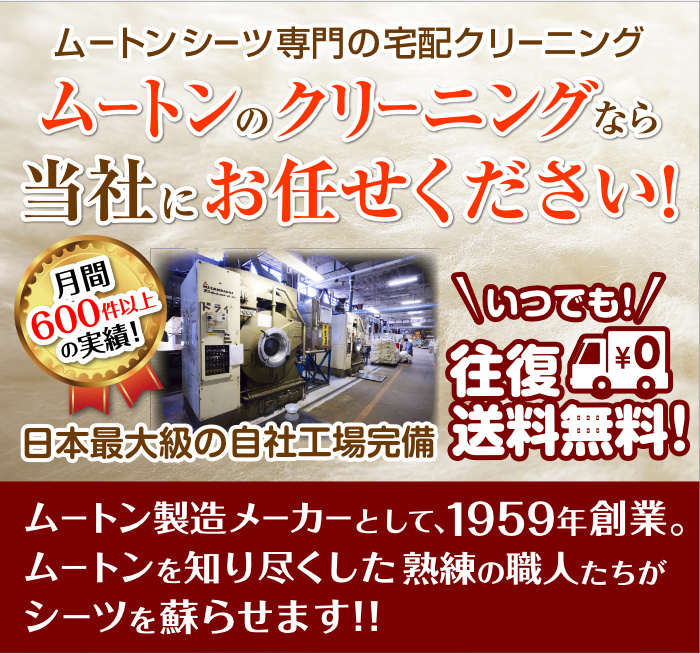 ムートンシーツのクリーニングなら、ムートン専門の日本ムートン㈱へ！